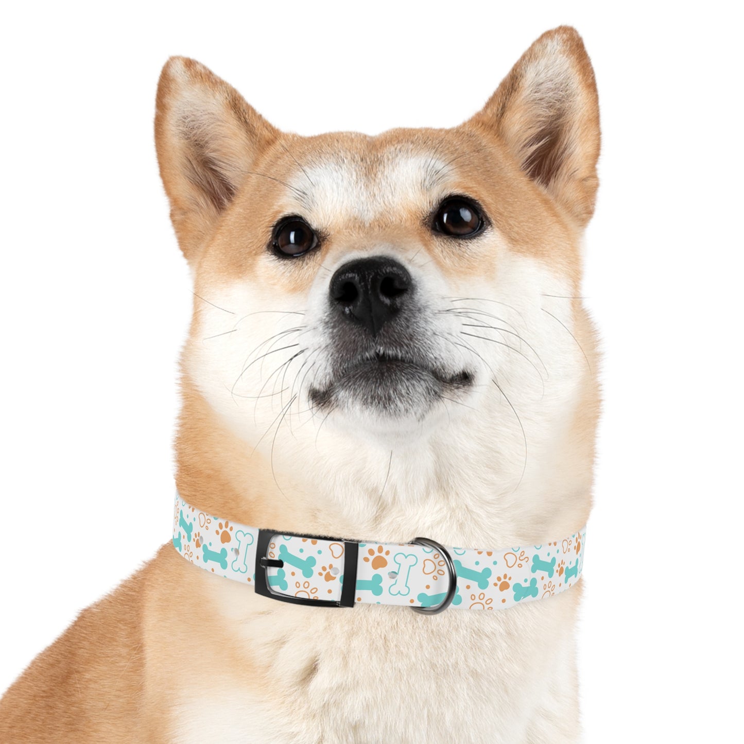 Dog Collar Paw Dog Bone Design | Accessories, Dogs, Pets, Walk