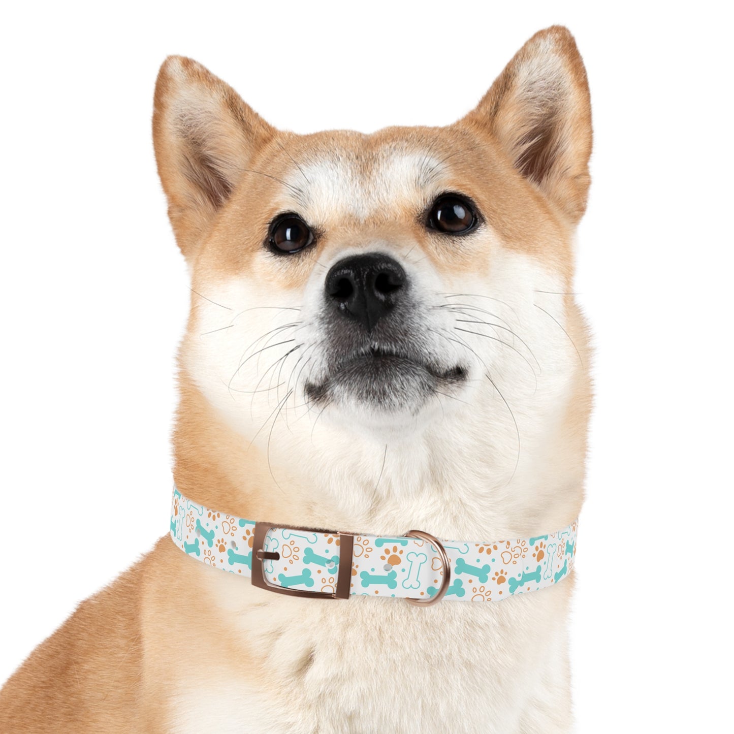 Dog Collar Paw Dog Bone Design | Accessories, Dogs, Pets, Walk