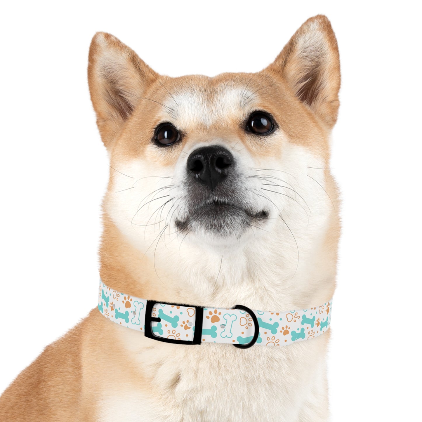 Dog Collar Paw Dog Bone Design | Accessories, Dogs, Pets, Walk